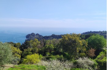 Spaziergang auf dem Monte di Portofino ab Nozarego