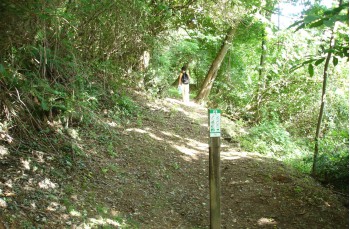 Spaziergang auf dem Monte di Portofino ab Nozarego