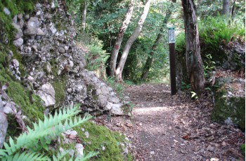 Spaziergang auf dem Monte di Portofino ab Nozarego