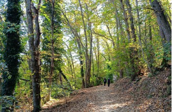 Weg von Portofino Vetta zum Semaforo Nuovo