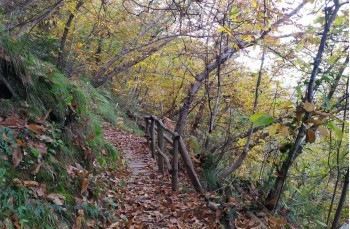 Weg von Santa Margherita Ligure nach Portofino Vetta