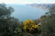 Camogli - Portofino Vetta - Base O - San Fruttuoso di Camogli
