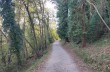Weg von Portofino Vetta nach Pietre Strette