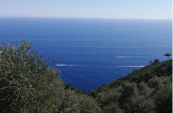 Da Nozarego a Portofino