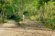 Trail ring in the Portofino Park starting from Camogli.