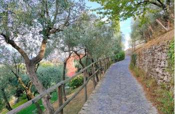 Von Nozarego zur kleinen Bucht Punta del Giasso