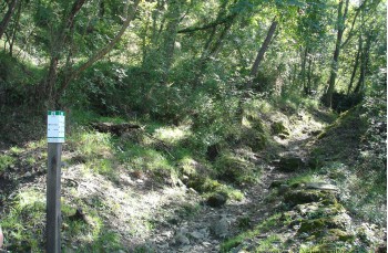 Wanderroute zu Fuß von Camogli nach Santa Margherita Ligure