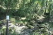 Wanderroute zu Fuß von Camogli nach Santa Margherita Ligure