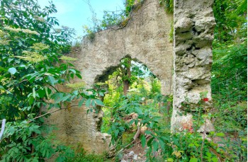 Trail Portofino Vetta - Base O - Portofino - Paraggi - Olmi