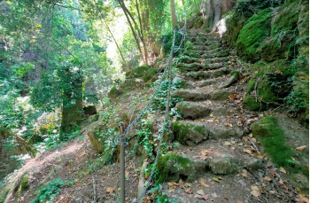 Trail da Portofino Vetta - Base O - Portofino - Paraggi - Olmi