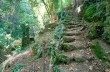 Hiking in the Park of Portofino from Portofino Vetta to Portofino.