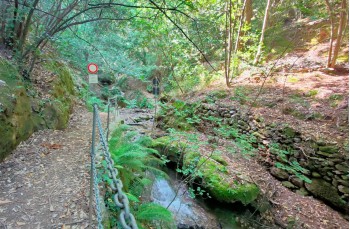 Trail da Portofino Vetta - Base O - Portofino - Paraggi - Olmi