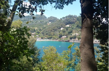Von Nozarego nach Portofino und zurück über Fossello