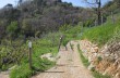 Loop trail in the Portofino Park from Nozarego