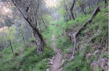 Loop trail in the Portofino Park from Nozarego