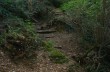 Trekking da Paraggi sul Monte di Portofino