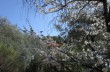 Trekking da Paraggi sul Monte di Portofino