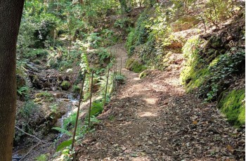 Trekking da Paraggi sul Monte di Portofino