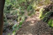 Trekking da Paraggi sul Monte di Portofino