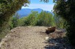 Trail von Rapallo nach S. Ambrogio bis Montallegro