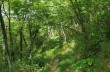 Trail von Rapallo nach S. Ambrogio bis Montallegro