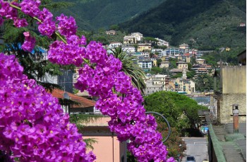 Passeggiata a piedi da Rapallo a Santa Margherita Ligure