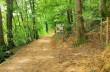 Easy trail from Ruta di Camogli to Pietre strette