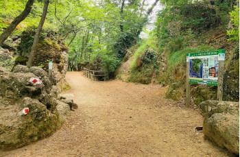 Easy trail from Ruta di Camogli to Pietre strette