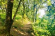 Weg von Montallegro nach Rapallo über den Passo della Crocetta