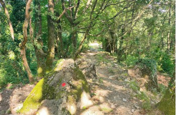 Weg von Montallegro nach Rapallo über den Passo della Crocetta