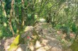 Weg von Montallegro nach Rapallo über den Passo della Crocetta