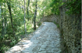 Easy trail from Ruta di Camogli to Pietre strette
