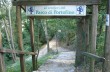 Easy trail from Ruta di Camogli to Pietre strette