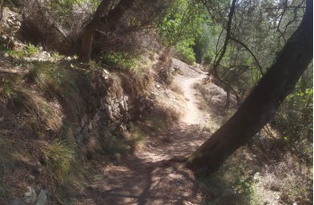 Wanderung von Portofino nach San Fruttuoso di Camogli