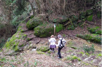 Stunning trail from Portofino to San Fruttuoso di Camogli.