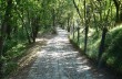 Weg von Portofino Vetta nach Pietre Strette