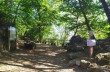 Walking in the Park of Portofino