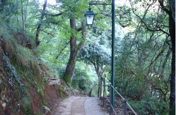 Trekking auf dem Monte di Portofino von Santa Margherita Ligure nach Portofino
