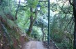 Trekking auf dem Monte di Portofino von Santa Margherita Ligure nach Portofino