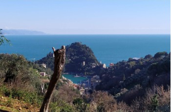 Wanderung zur Punta del Giasso ab Portofino mare