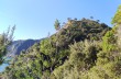 Wanderung zur Punta del Giasso ab Portofino mare