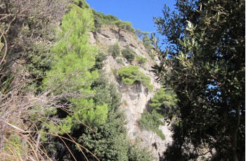Wanderung zur Punta del Giasso ab Portofino mare