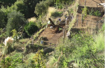 Wanderung zur Punta del Giasso ab Portofino mare