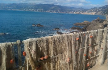 Randonnée dans le Parc de Portofino parmi les bunker de la II guerre mondiale