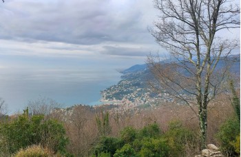 Loop trail Rapallo - Santuario di Caravaggio - Ruta di Camogli