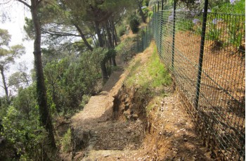 Cala Vitrale, ein unbekannter Weg im Naturpark Portofino