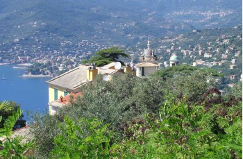 Trail von San Rocco di Camogli nach San Fruttuoso im Naturpark Portofino