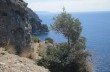 Randonnée pédestre San Rocco - San Fruttuoso di Camogli