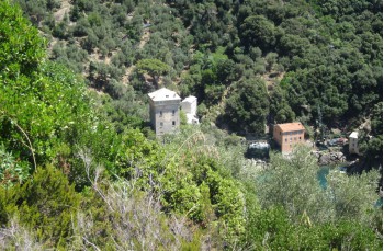 Randonnée pédestre San Rocco - San Fruttuoso di Camogli