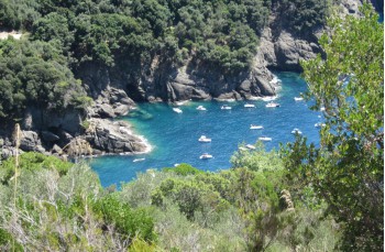 Randonnée pédestre San Rocco - San Fruttuoso di Camogli